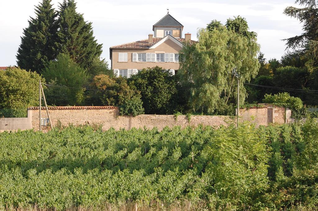 Le Montellier Bed and Breakfast Blacé Exterior foto